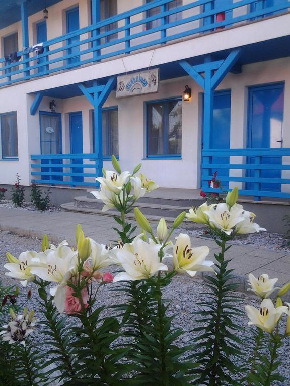 Pension Sharaiman Dunavatu de Jos Exterior photo
